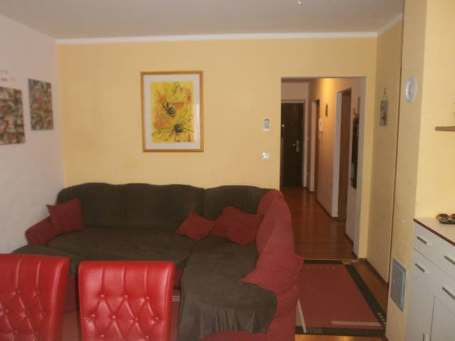Apartment in Jadreški for sale !!