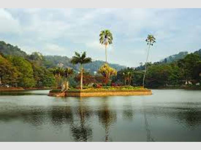 No.216/1, Geroge E De Silva Mawatha, Pitakandea, Dodanwela, Kandy, Sri Lanka