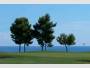 Nemovitosti ve Španělsku - Bonalba Golf Resort
