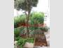 Apartment in Vrsar for sale !!
