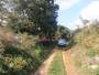 Plot in Ližnjan for sale !!