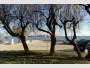 Apartment near sea in Novigrad !!