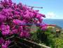 Apartment For Sale Makarska