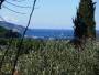 Building Land On Island Hvar